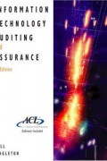 Informasi technology auditing assurance