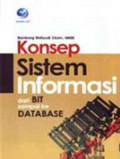 Konsep sistem informasi dari BIT sampai ke database